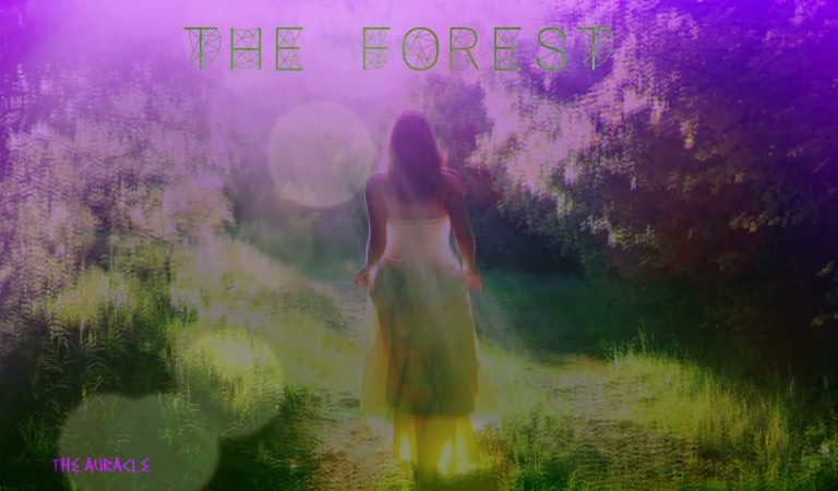 The Forest [ASMR] ★ Original bedtime Story ★ [Multilayer] [Binaural]
