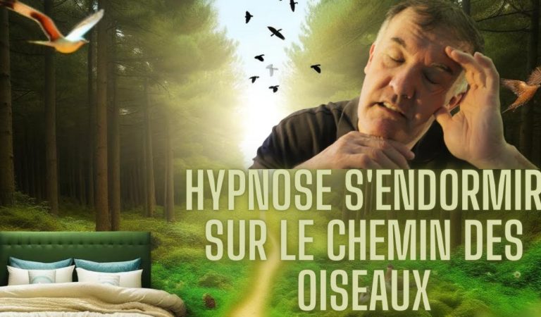 Hypnose Douce : Voyage au Pays des Oiseaux pour un Sommeil Profond